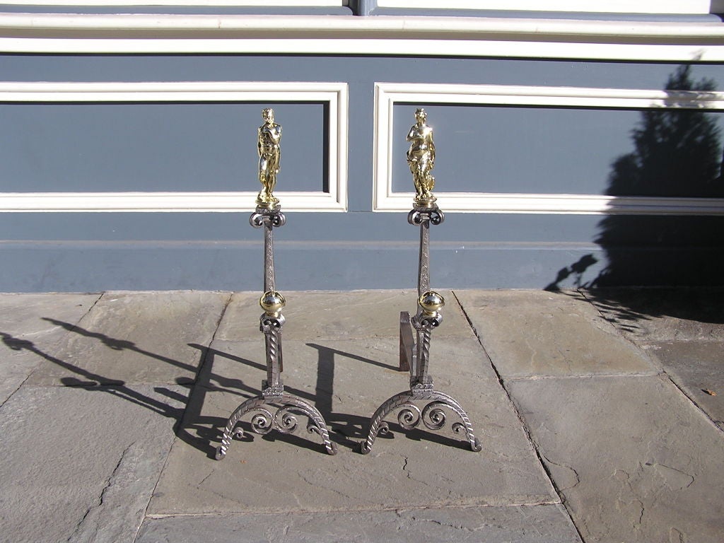 Pair of Italian wrought iron hand chased bronze andirons adorned by mythological figures with dolphin and swan motif ending on chased scrolled legs.