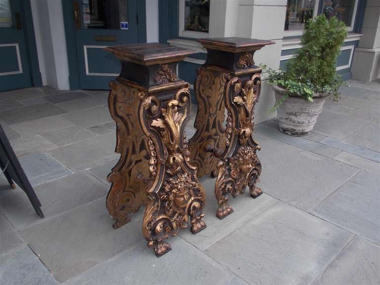 Pair of Italian painted and gilt pedestals with carved floral  acanthus , decorative scroll work, flanking cherubs, and terminating on lions paw feet.  Dealers please call for trade price.