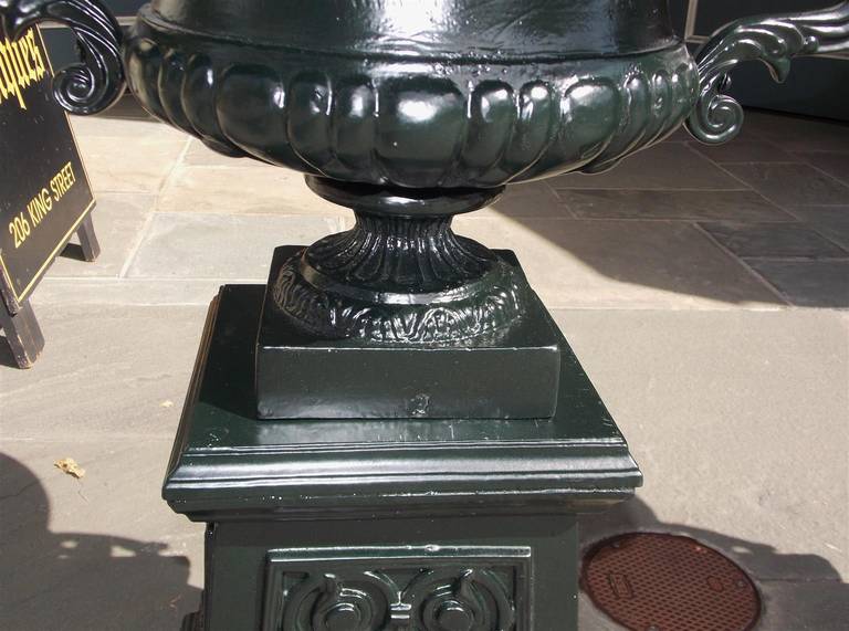 Pair of American Cast Iron Foliage Planters, Circa 1880 2