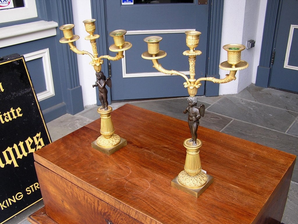 Pair of French gilt bronze ormolu three arm cherub candelabras with reeded and floral hand chase work.