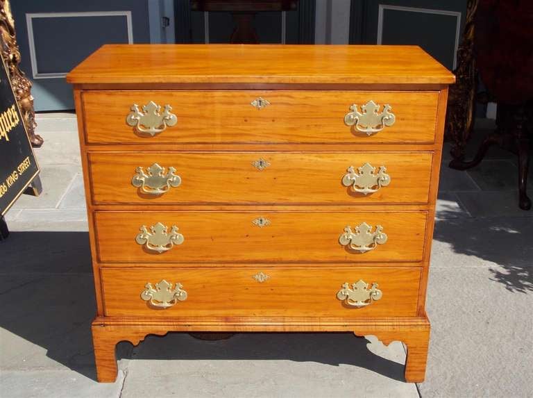 American black gum graduated four drawer chest with one board top, original brasses, and terminating on carved scalloped bracket feet.  Dealers please call for trade price.
