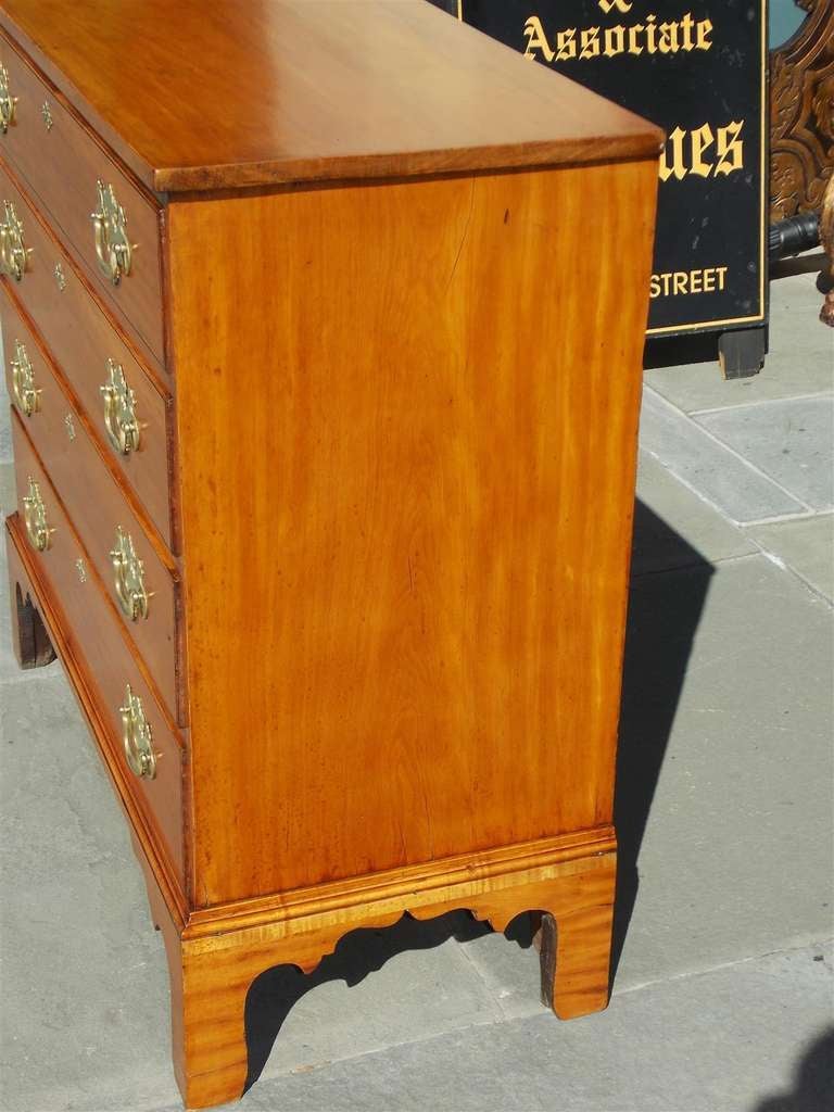 XVIIIe siècle et antérieur Commode à tiroirs graduée à motif Gum noir américain.  Datant d'environ 1780 en vente