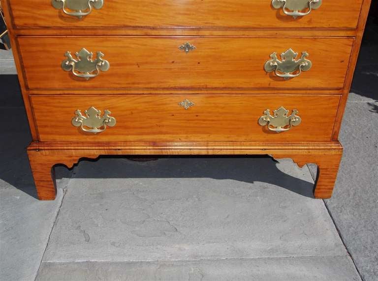 Commode à tiroirs graduée à motif Gum noir américain.  Datant d'environ 1780 en vente 2