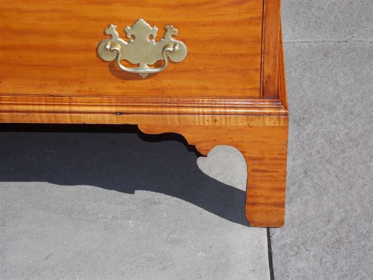 American Black Gum Graduated Chest of Drawers.  Circa 1780 For Sale 3