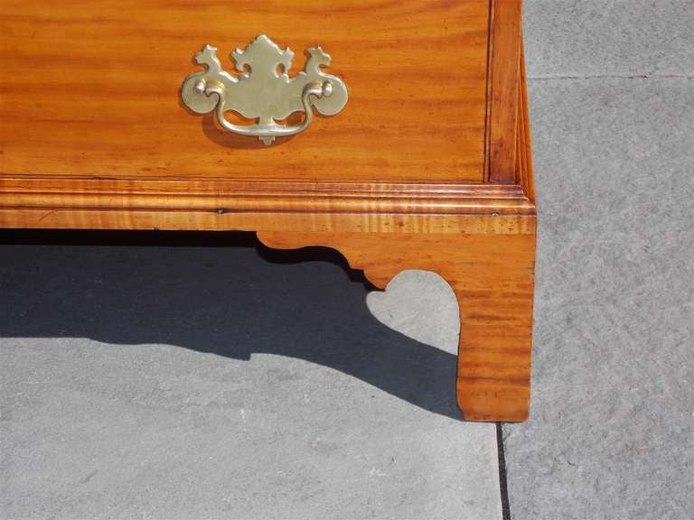 Commode à tiroirs graduée à motif Gum noir américain.  Datant d'environ 1780 en vente 3