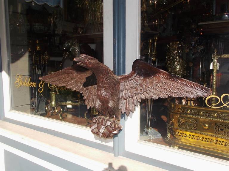 American Carved Walnut Perched Eagle. Circa 1840 In Excellent Condition For Sale In Hollywood, SC