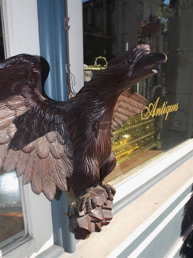 XIXe siècle Aigle perché en noyer sculpté américain. Années 1840 en vente