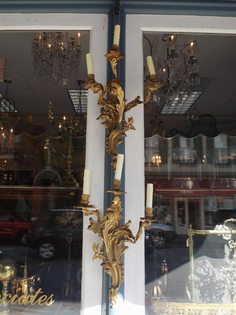 Pair of French gilt bronze three arm sconces with floral motif. Originally candle powered.
