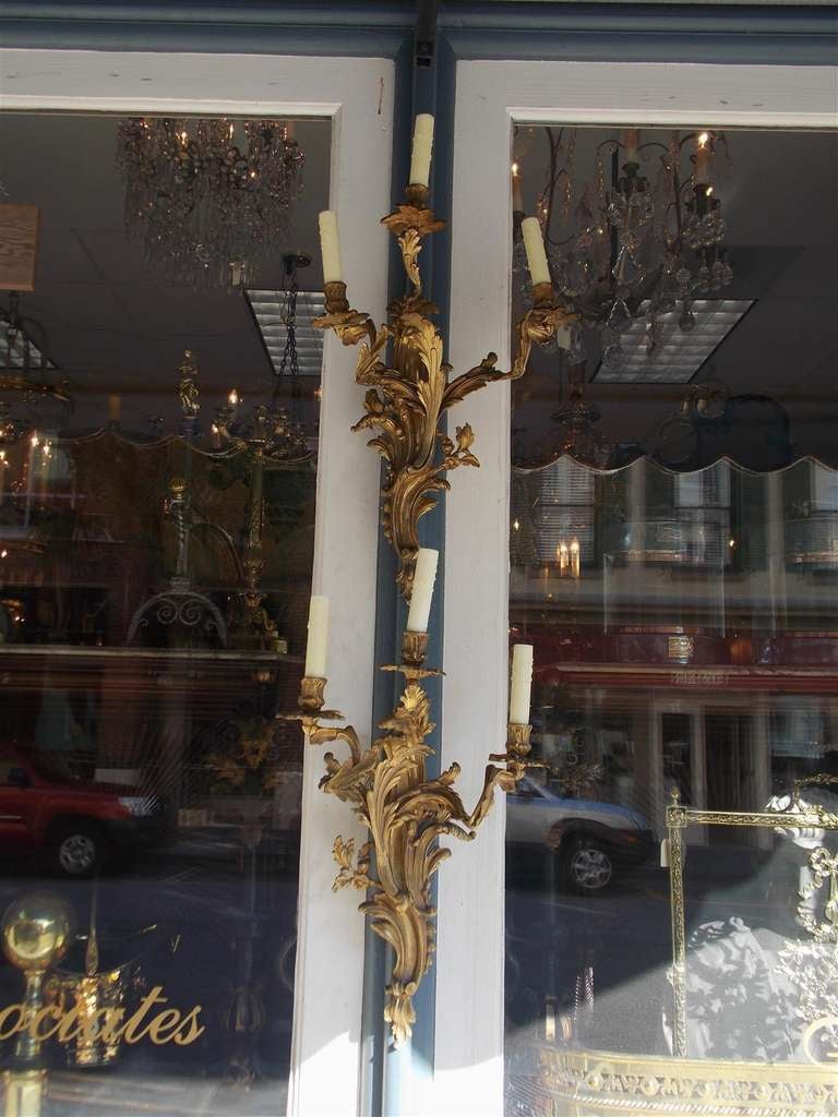 Pair of French Gilt Bronze Floral Sconces. Circa 1830 In Excellent Condition For Sale In Hollywood, SC