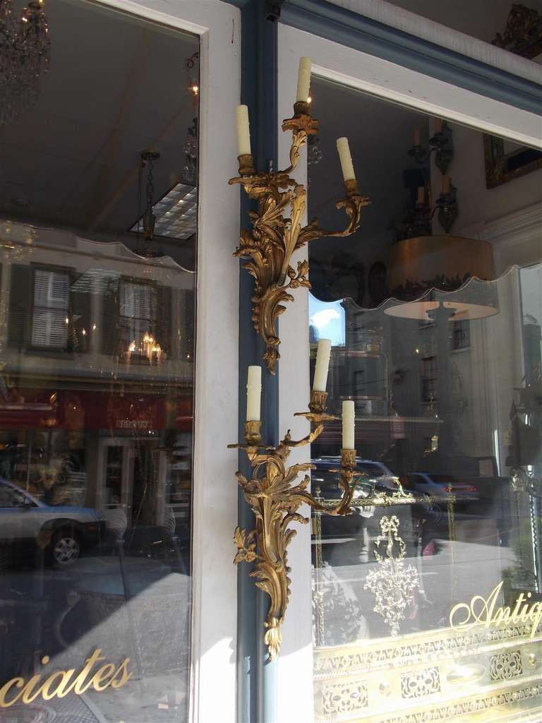 19th Century Pair of French Gilt Bronze Floral Sconces. Circa 1830 For Sale
