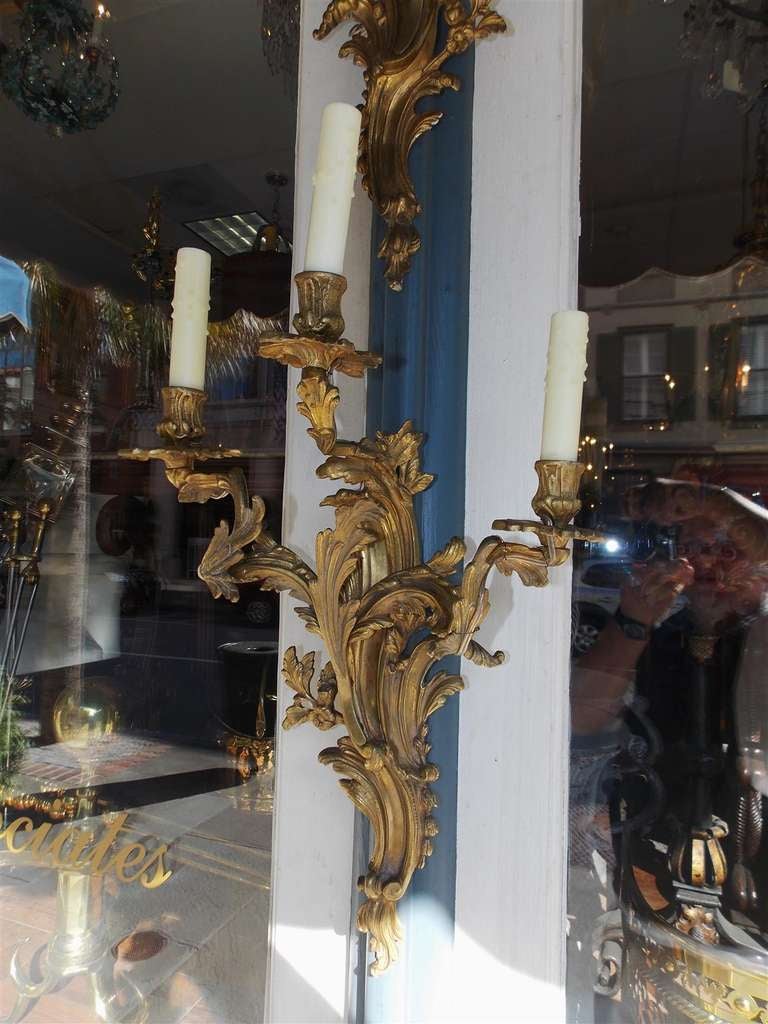 Pair of French Gilt Bronze Floral Sconces. Circa 1830 For Sale 3