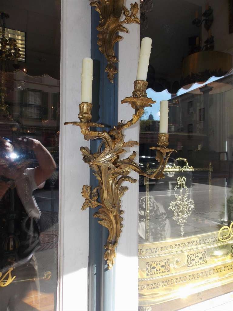 Pair of French Gilt Bronze Floral Sconces. Circa 1830 For Sale 4