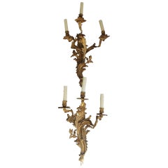 Pair of French Gilt Bronze Floral Sconces. Circa 1830