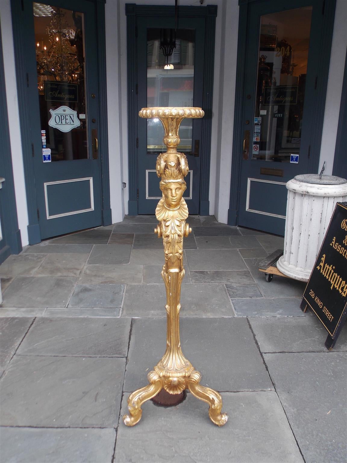 Italian Regency gilt carved wood figural torchiere with egg and dart motif, floral scrolled decorative work, and terminating on floral tripod base with centered shell carving, Late 18th century.