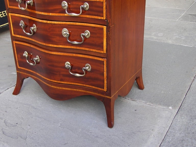 English Mahogany Tambour Chest For Sale 4