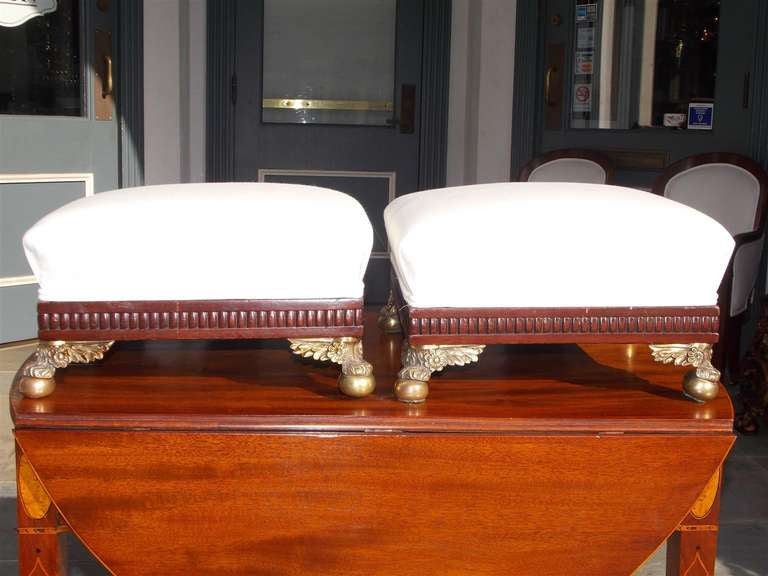 Pair of English Regency mahogany footstools with gadrooned molded edge, upholstered in white muslin, and terminating on gilt bronze floral paw and ball feet.  Circa 1790