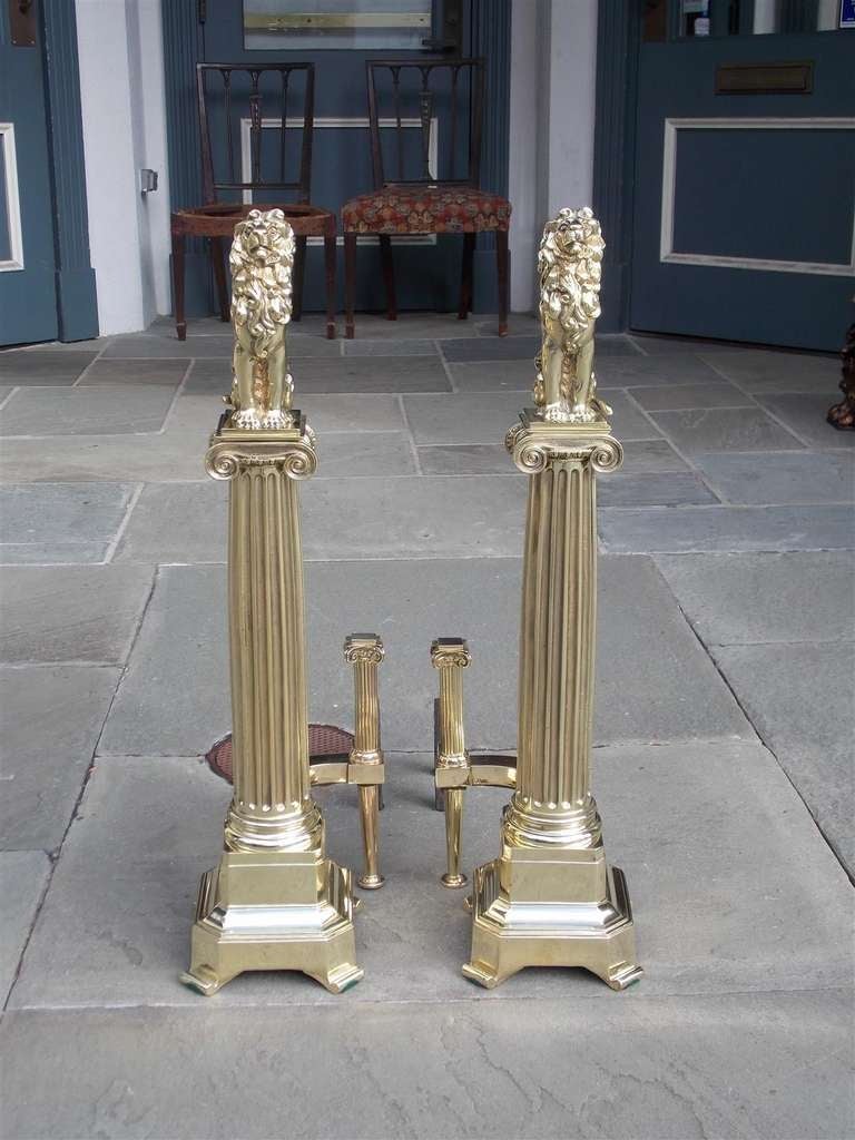 British Pair of English Brass Monumental Lion Andirons. Circa 1840