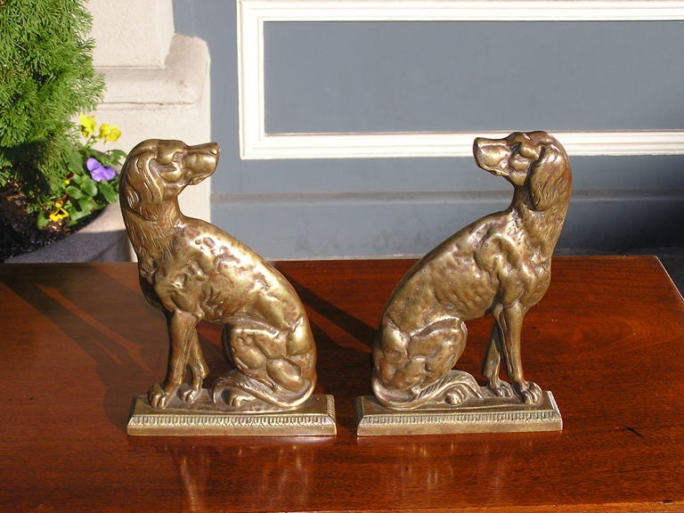 Pair of American brass dog doorstops / bookends sitting on squared decorative plinths.  Late 19th Century 