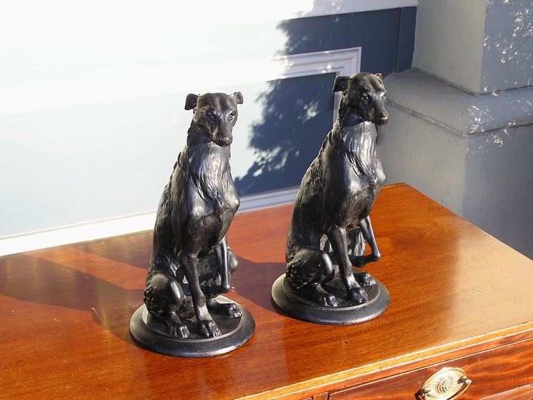 Pair of American Bronze dog sculptures resting on original round plinths. Dealers please call for trade price. 
