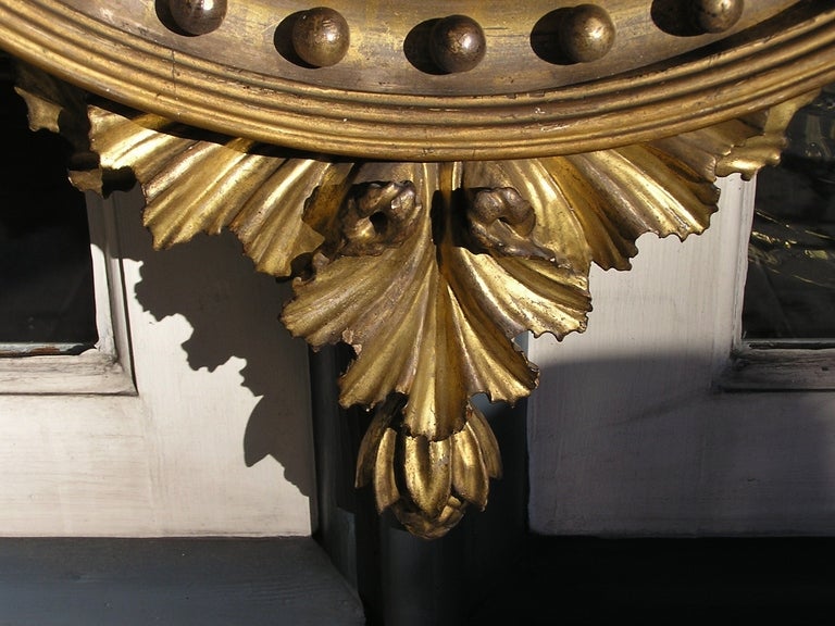 Hand-Carved American Federal Gilt and Ebonized Dolphin Foliage Convex Mirror. Circa 1800 For Sale