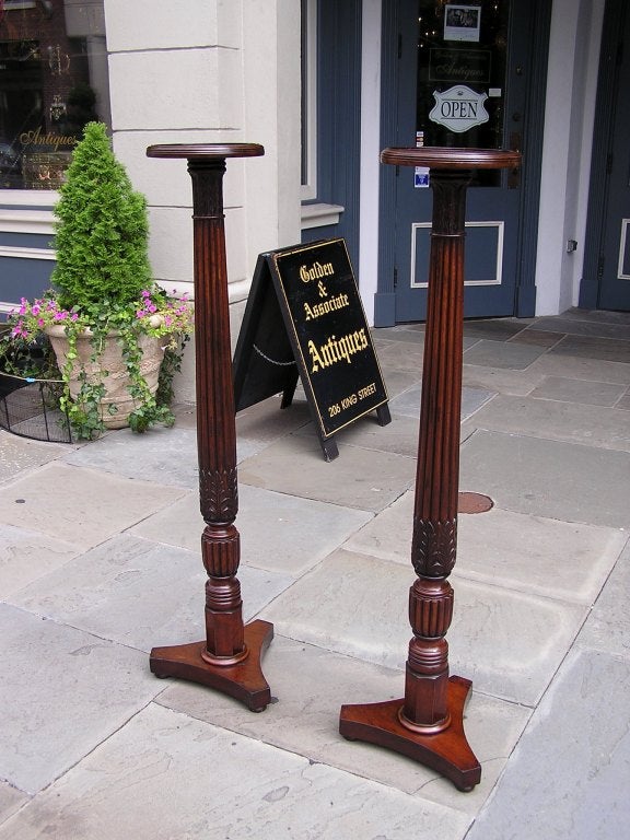 Pair of English mahogany foliate pedestals with flanking circular carved molded dish tops, reeded acanthus columns, and resting on tripod bases with the original bun feet. Late 18th Century