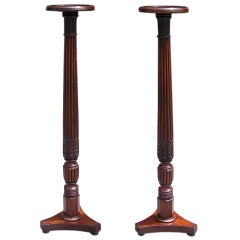 Pair of English Mahogany Pedestals 5