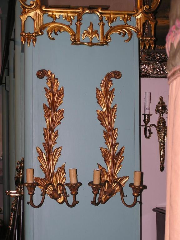 Louis Philippe Pair of French Foliage Gilt Wood Two Arm Scrolled Wall Sconces, Circa 1830