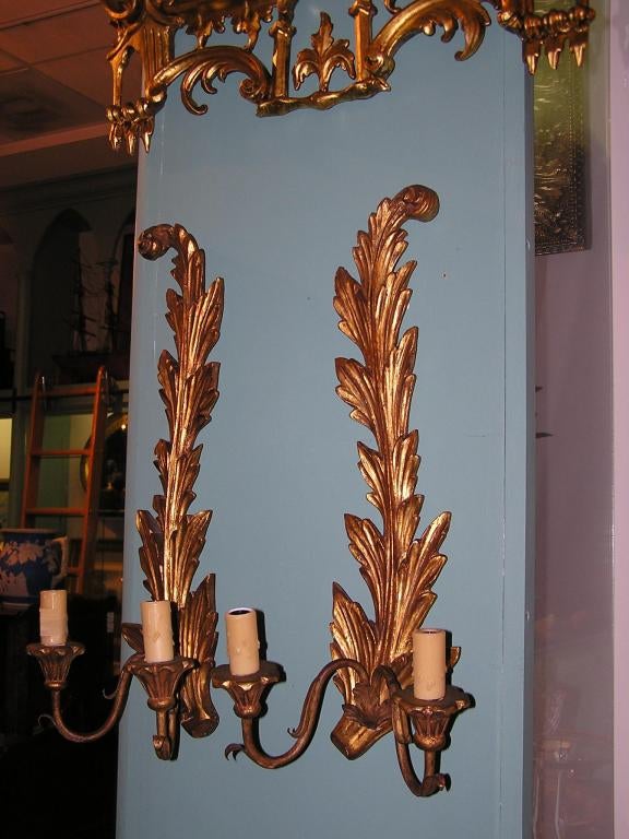 Hand-Carved Pair of French Foliage Gilt Wood Two Arm Scrolled Wall Sconces, Circa 1830