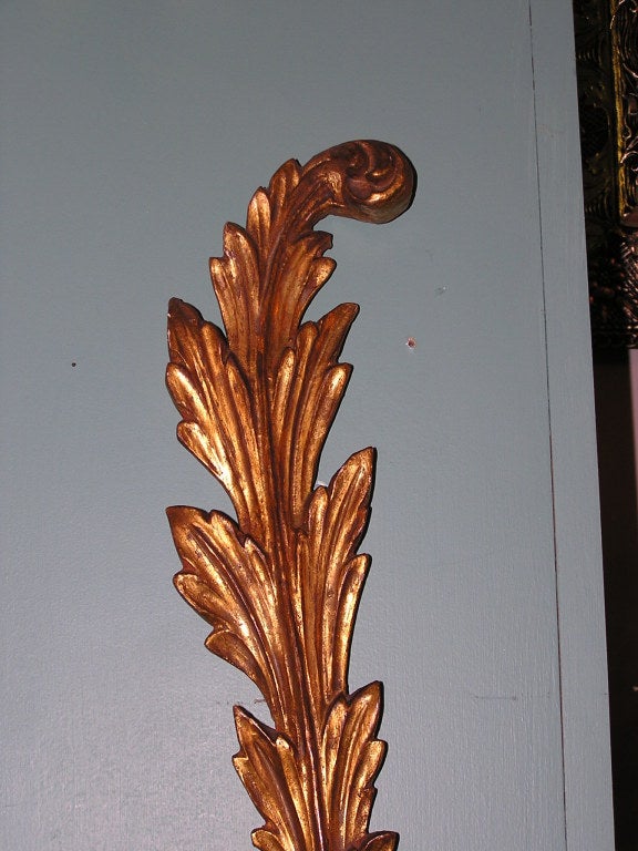 Pair of French Foliage Gilt Wood Two Arm Scrolled Wall Sconces, Circa 1830 In Excellent Condition In Hollywood, SC