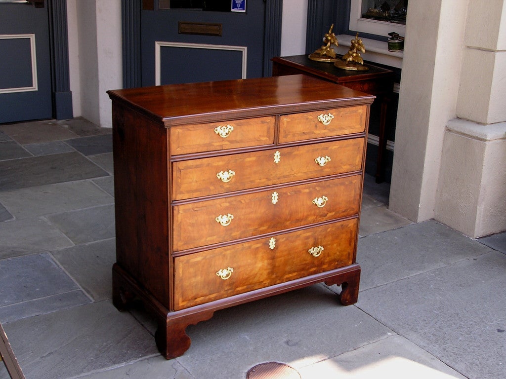 English walnut graduated five drawer chest with a carved molded edge top, kings wood inlays, feather banding drawer fronts, period brasses, and resting on the original ogee bracket feet. Late 18th Century