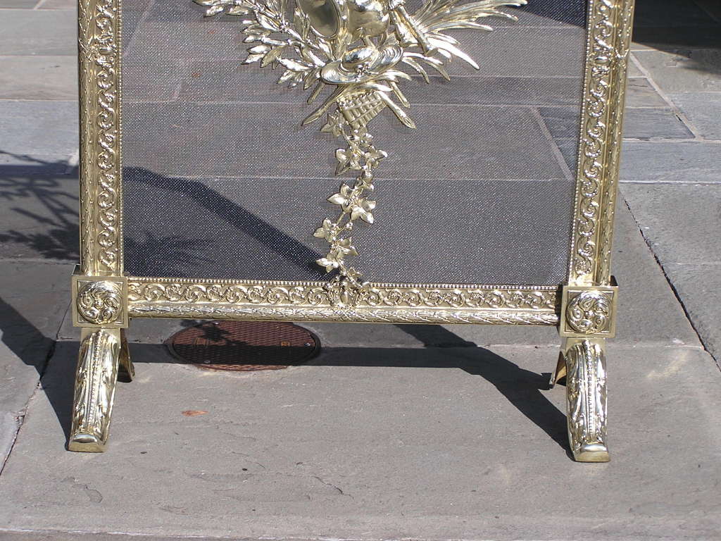 19th Century French Brass Fire Place Screen. 19th century