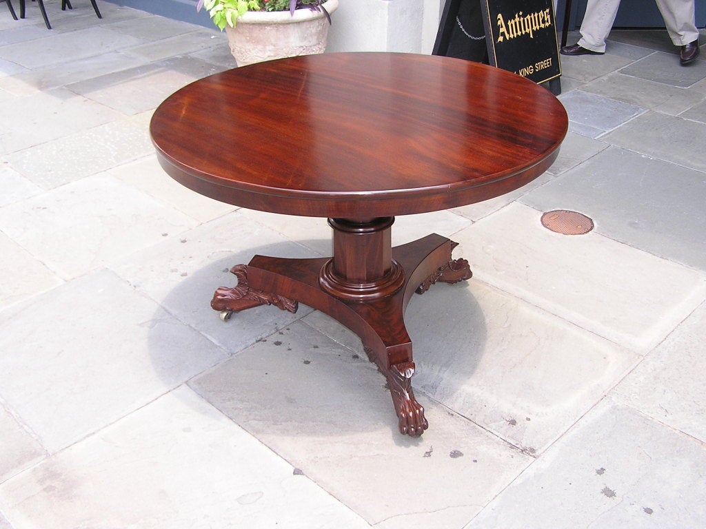 American Cuban / flame Mahogany tilt top tripod pedestal table with carved acanthus and lions paw feet with original brass casters. Table retains  original locking mechanism. Philadelphia Circa 1810-15.