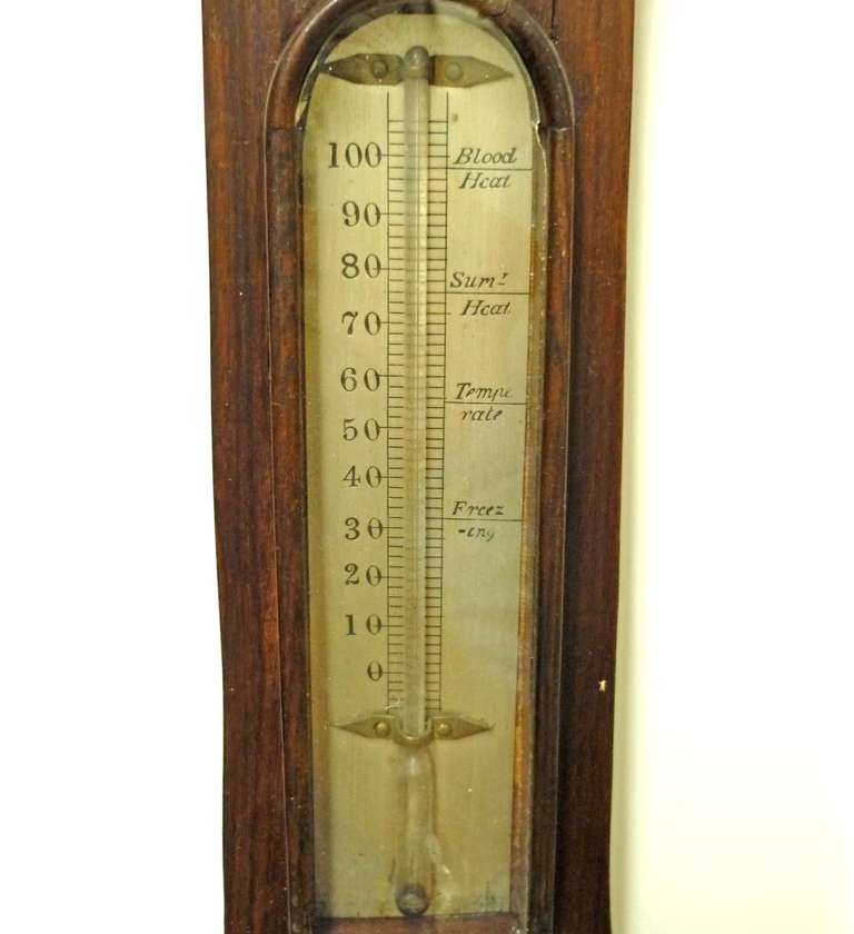 British Regency Gothic Style Rosewood Banjo Shape Barometer, circa 1860