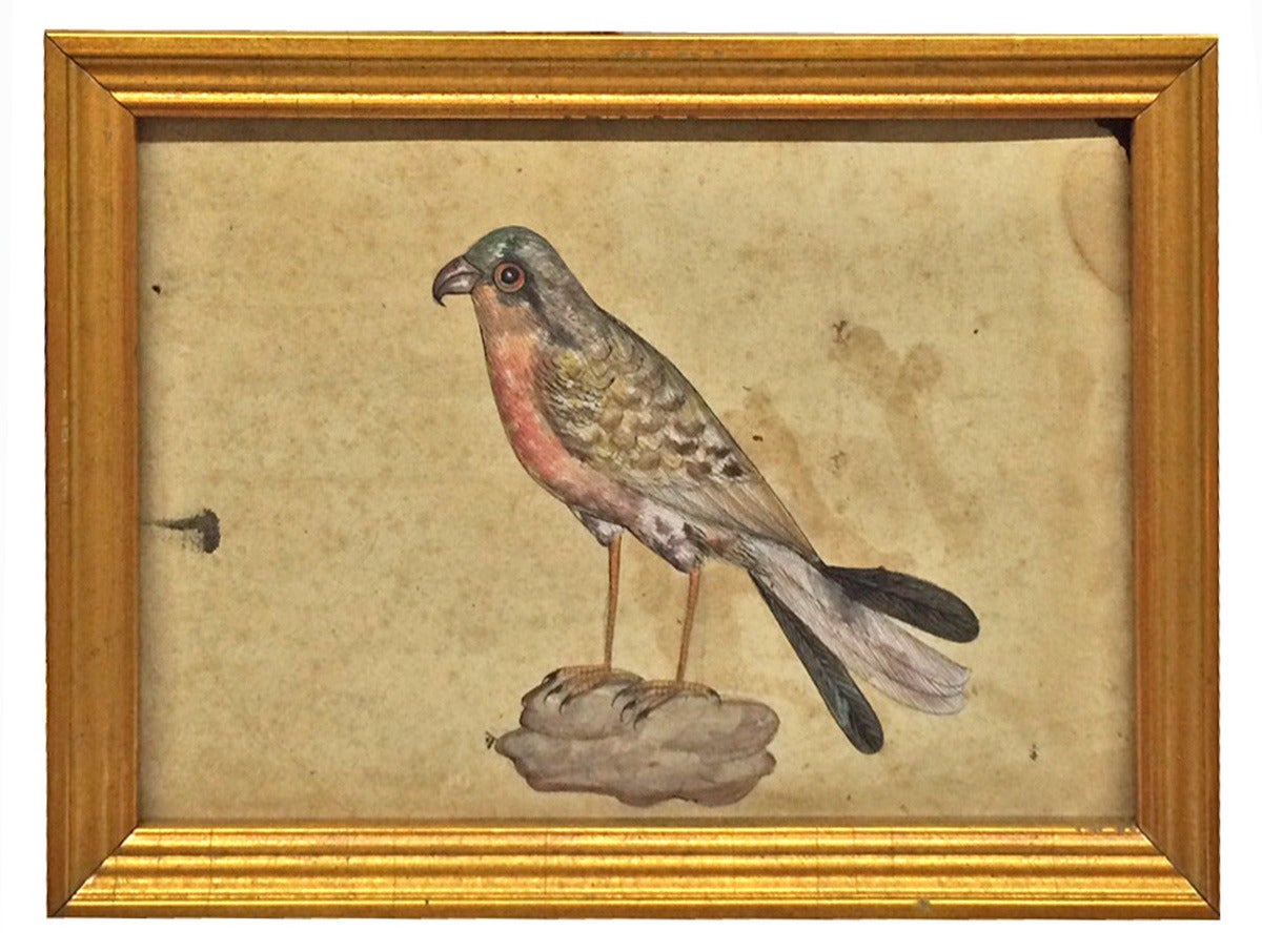 Group of British Colonial Indian Watercolors by Satyenda Manwani, circa 1840