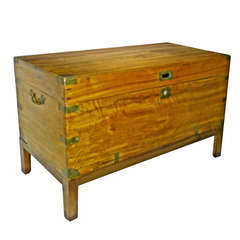 Antique Campaign Camphor Wood Chest, 19th Century