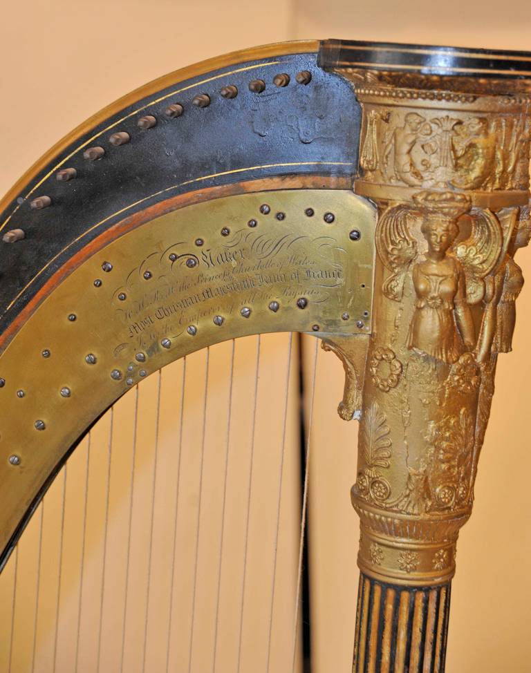 erard harp