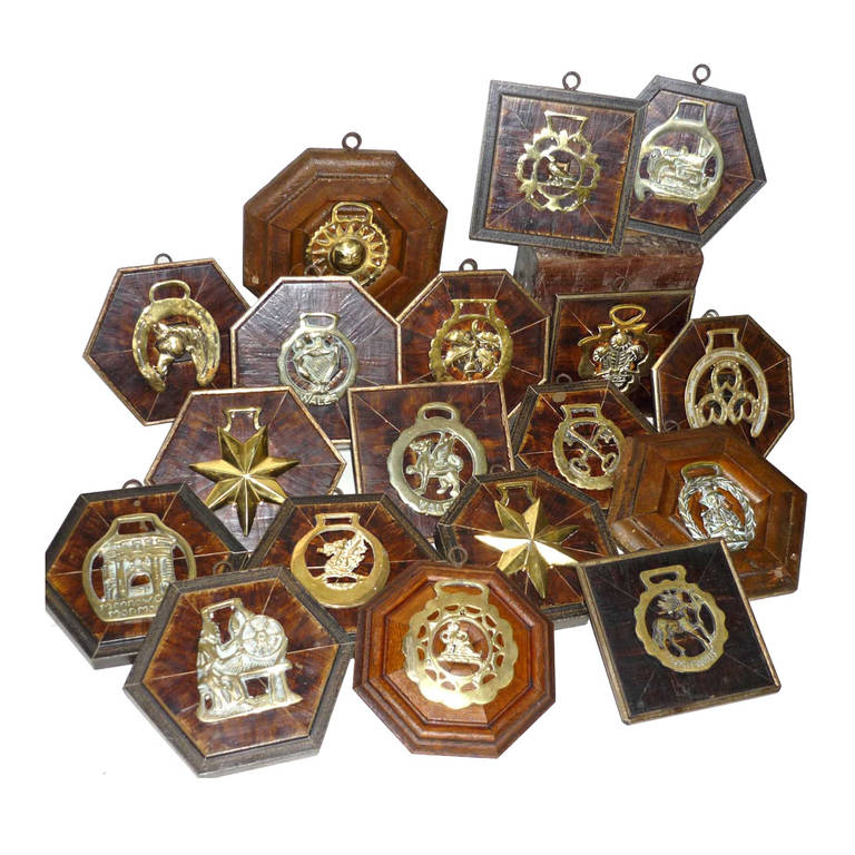 Collection of Framed English Horse Brass Medallions, circa 1900 at