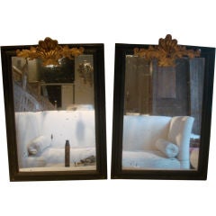 19c Italian Noir Pair of Mirrors with Gilded Coquille