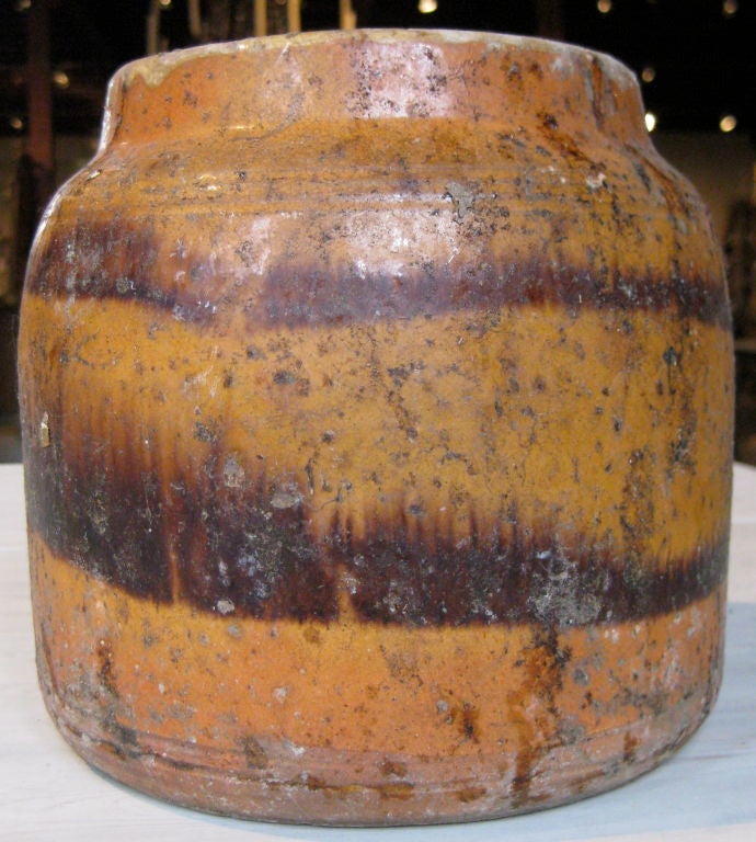 19c Confit