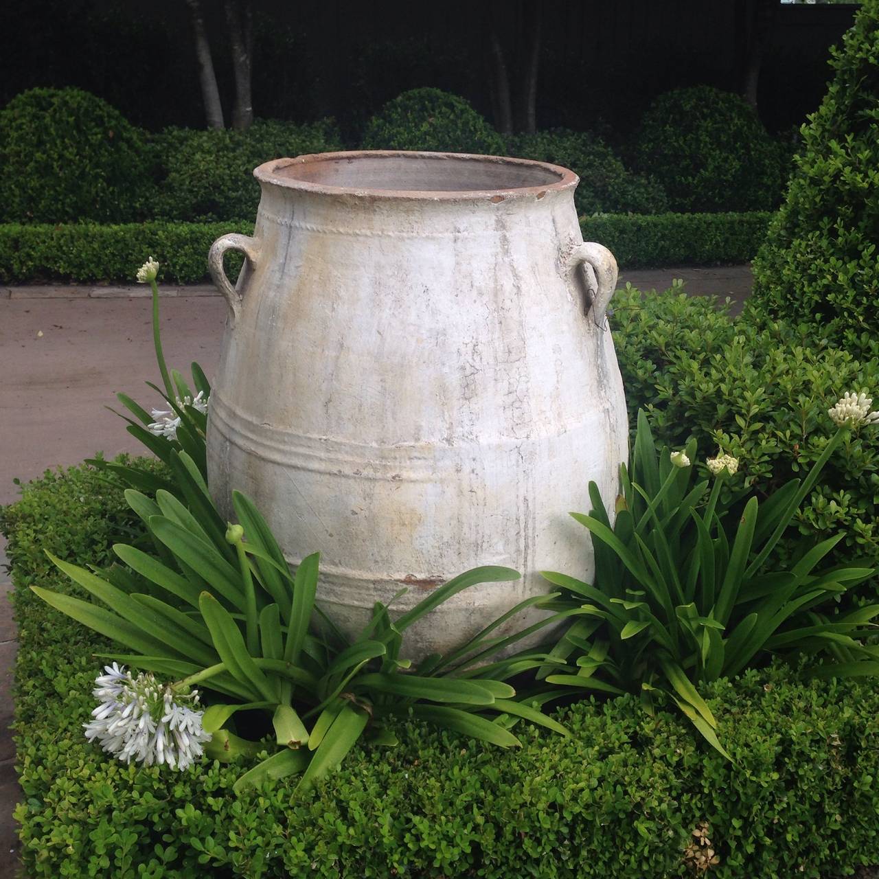 European Olive Jar In Good Condition In New Orleans, LA