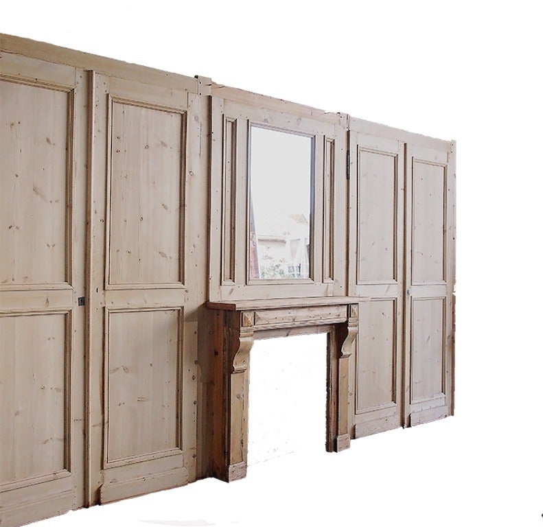 19c French Paneling- 2 Double Doors, 1 Trumeau, 1 Mantle
