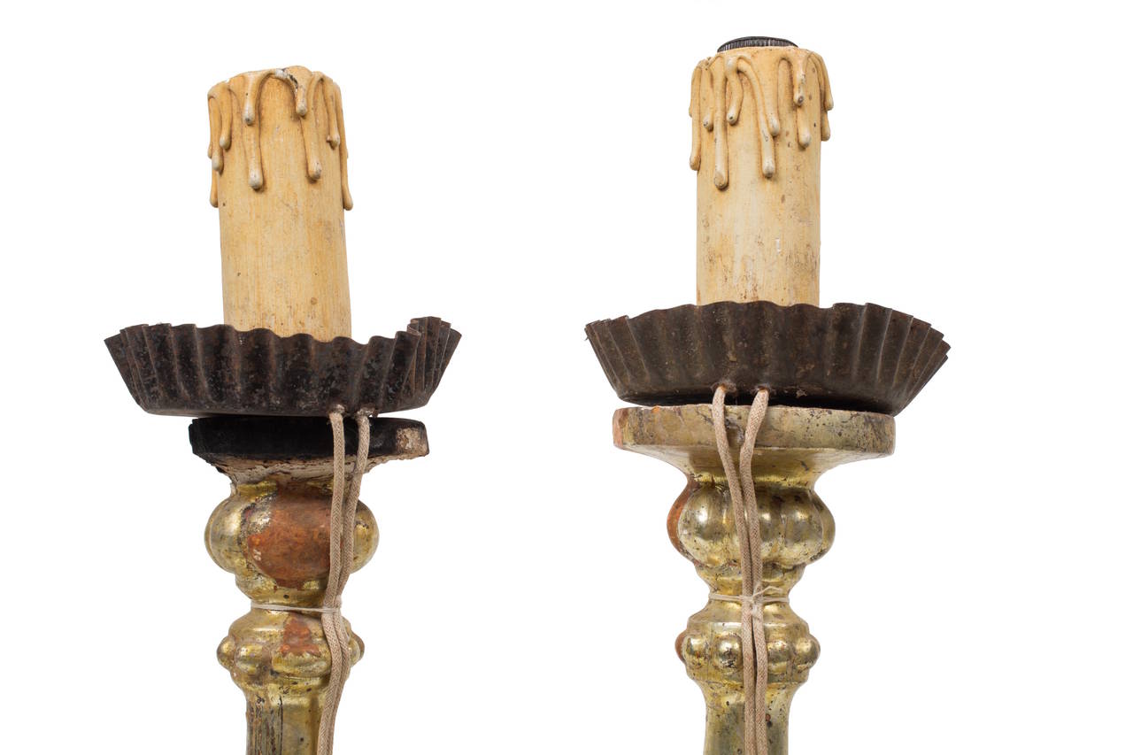 19th Century Italian Pair of Water Gilded Candlesticks 1