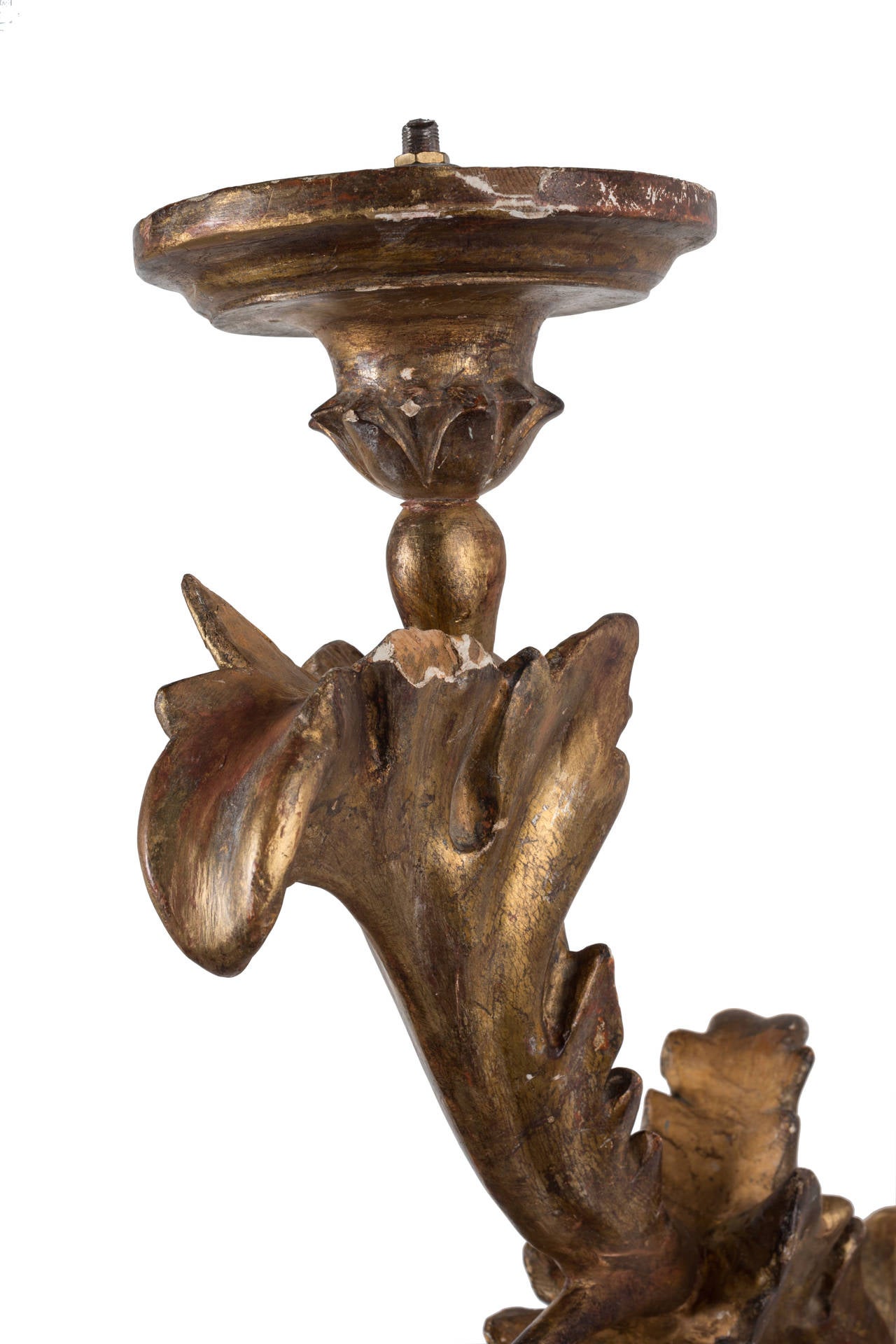 Pair of 18c Italian Louis XIV Wooden Arm Sconces with Water Gilding In Distressed Condition In New Orleans, LA