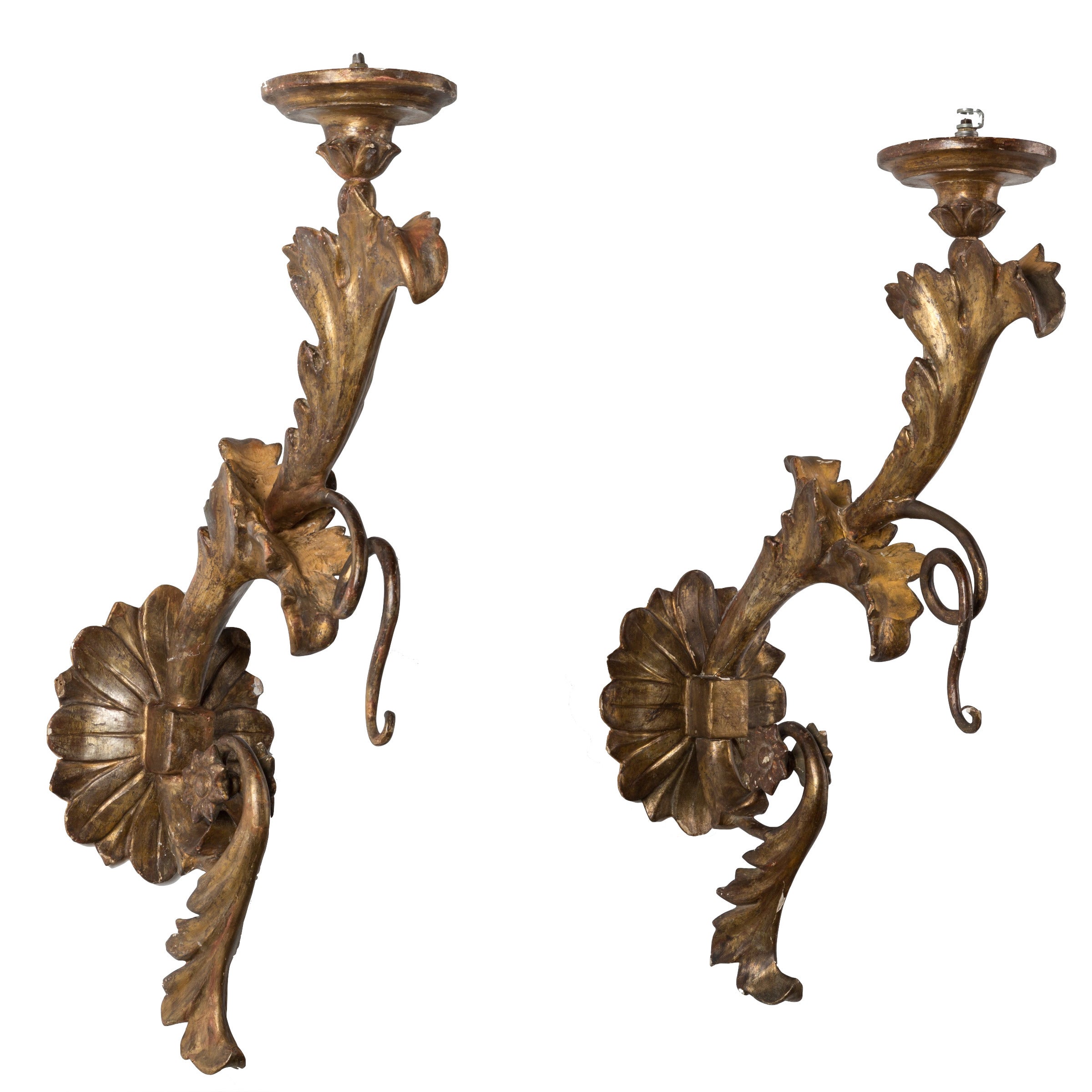 Pair of 18c Italian Louis XIV Wooden Arm Sconces with Water Gilding
