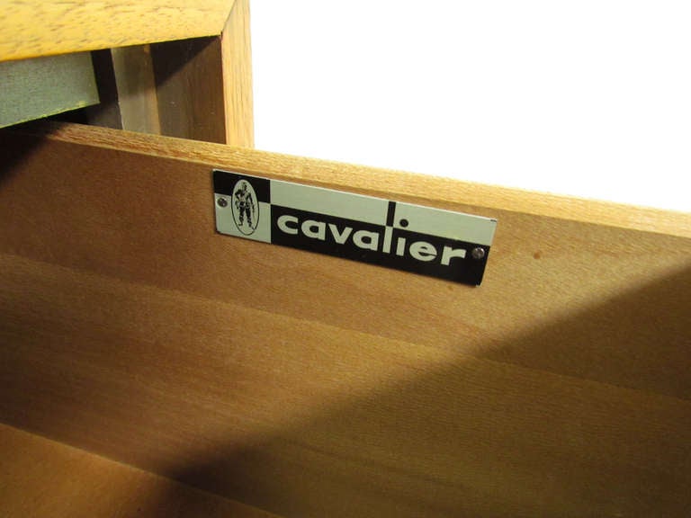 Mid-Century Modern Nine Drawer Dresser with Brushed Aluminum Pulls 2