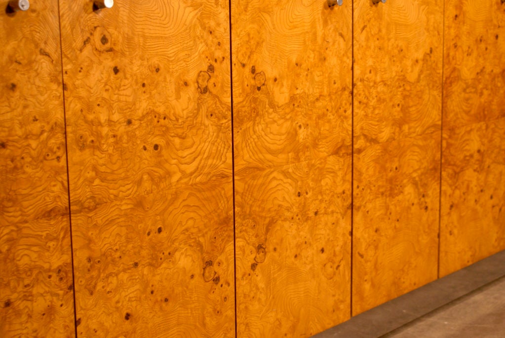 Burl Wood Cabinet by Milo Baughman for Thayer Coggin 3