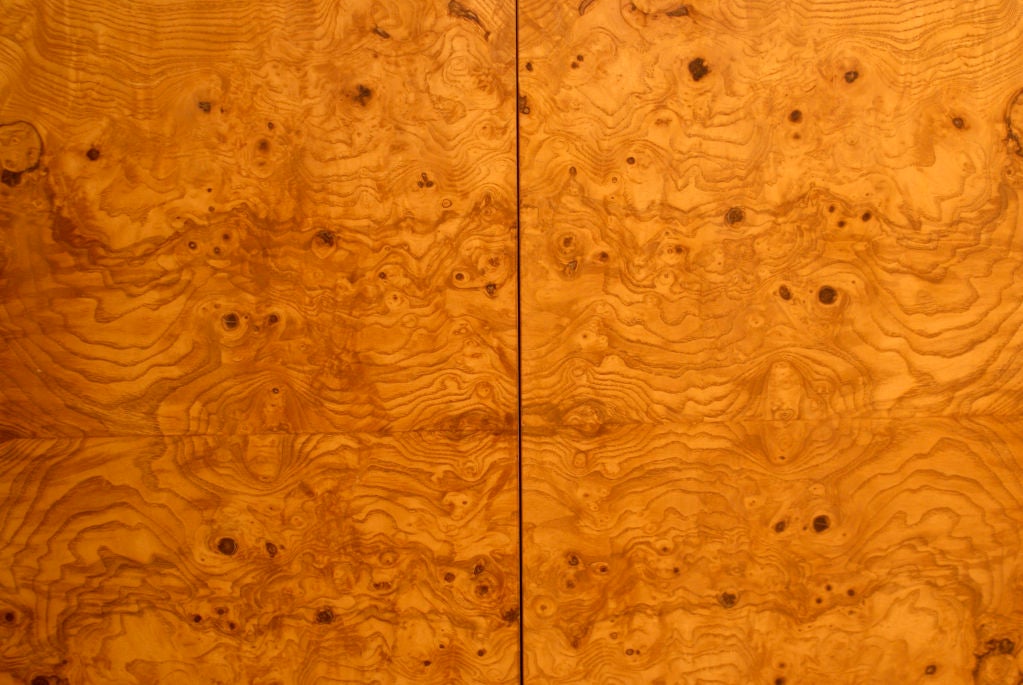 Burl Wood Cabinet by Milo Baughman for Thayer Coggin 4