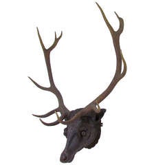Large Antique Life-Size Black Forest Carved Stag’s Head