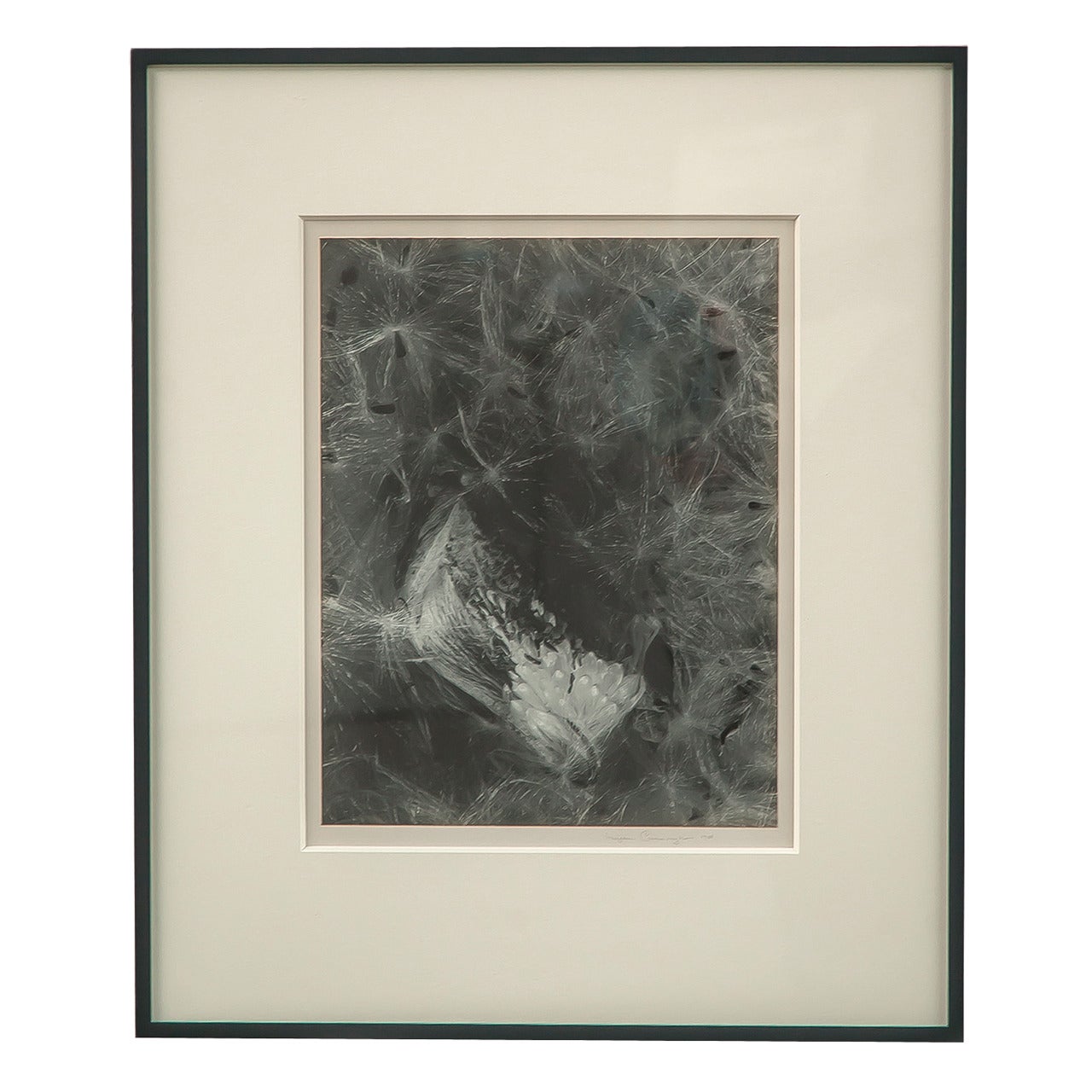 Imogen Cunningham Vintage Photograph For Sale