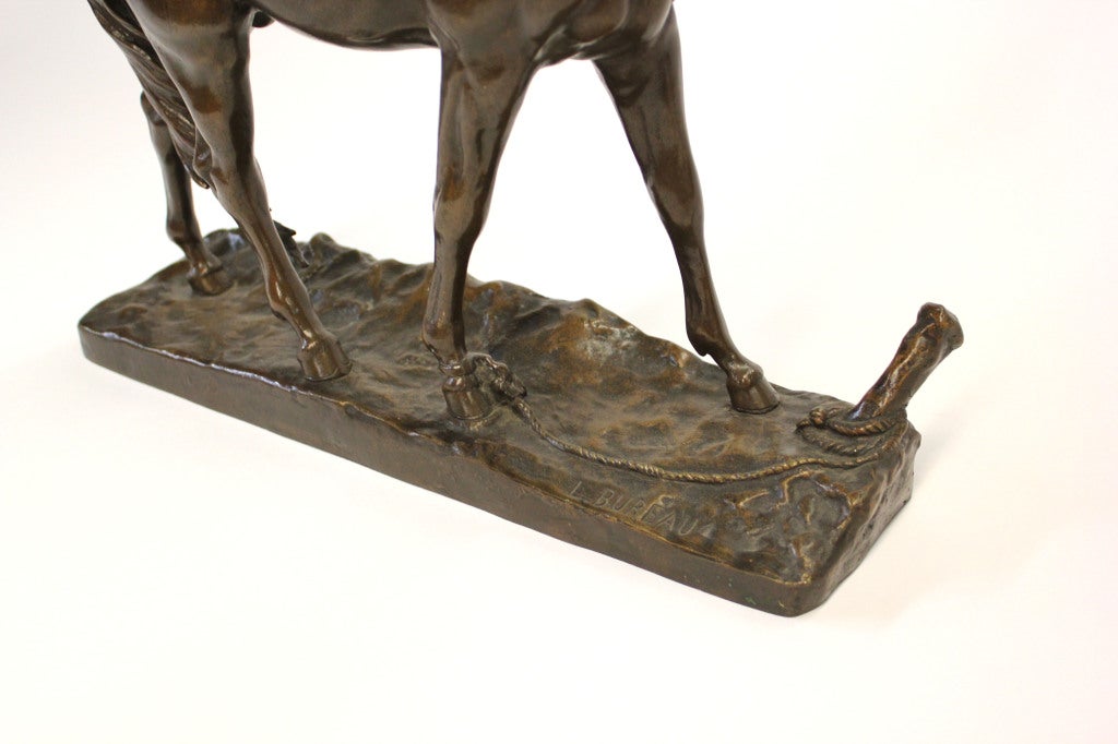 Bronze Horse by Leon Bureau 3